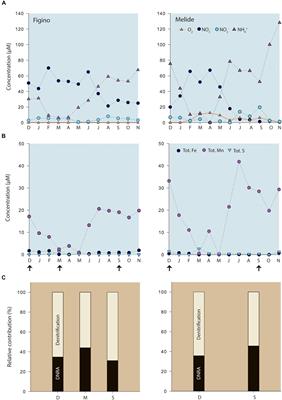 Controls of H2S, Fe2 +, and Mn2 + on Microbial NO3–-Reducing Processes in Sediments of an Eutrophic Lake